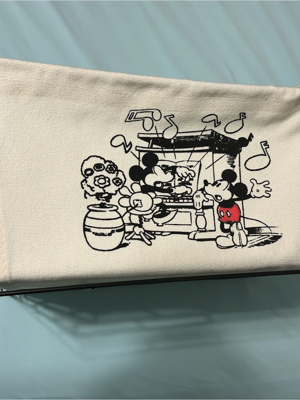 Mickey Mouse Organizer
